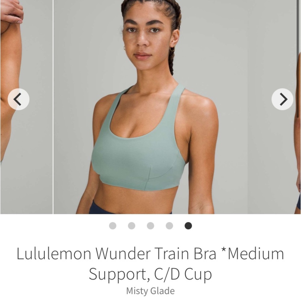 ISO Misty Glade Wunder Train Bra, regular or longline!!! Size 4